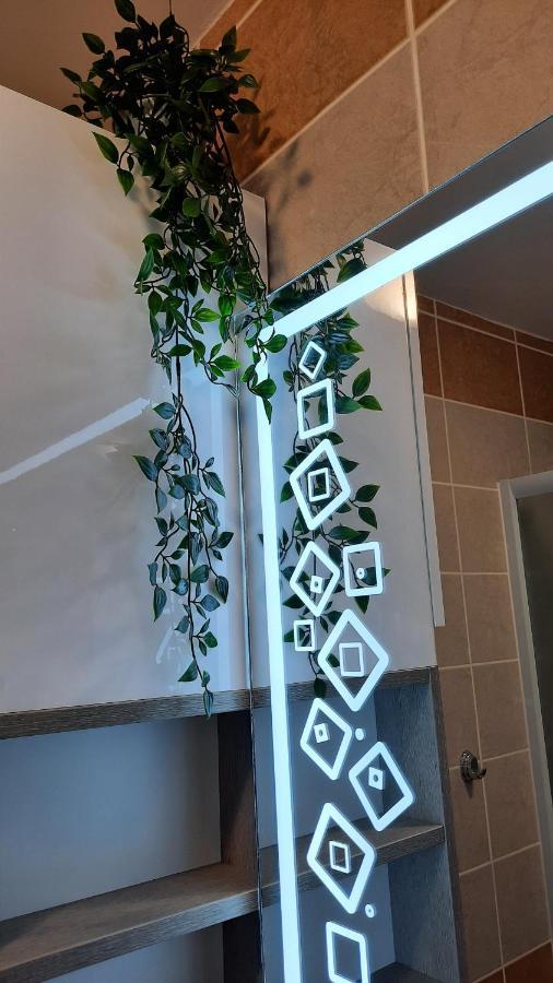 Apartman Modena Lux Vrnjacka Banja Luaran gambar