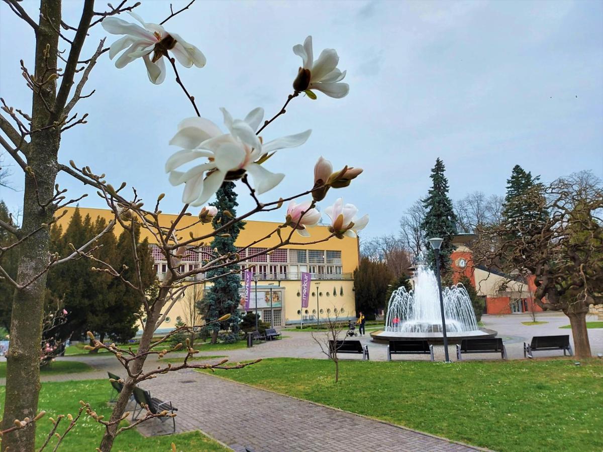 Apartman Modena Lux Vrnjacka Banja Luaran gambar
